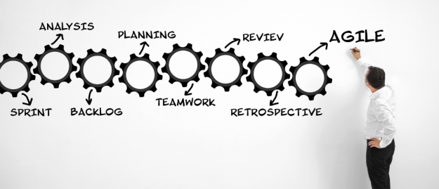 agile management
