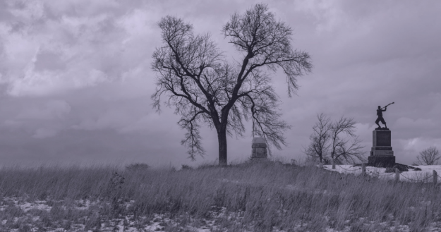 Progetto senza titolo (27)