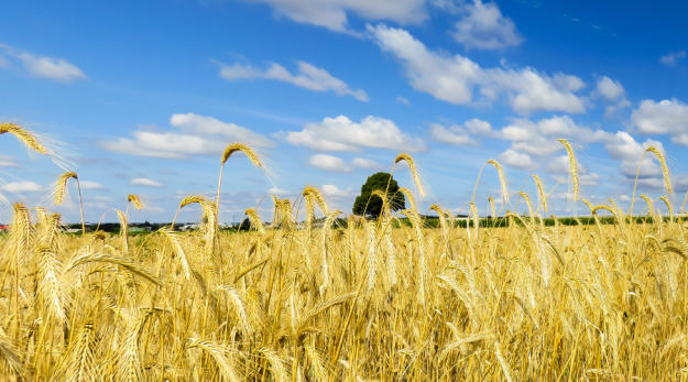 Immagine news chiusura estiva Chiusura estiva