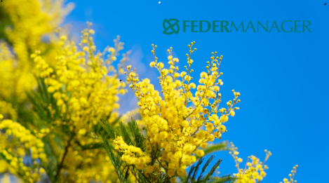 Progetto senza titolo 1